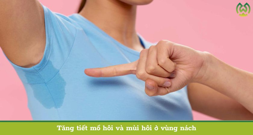 Tăng tiết mồ hôi và mùi hôi vùng nách