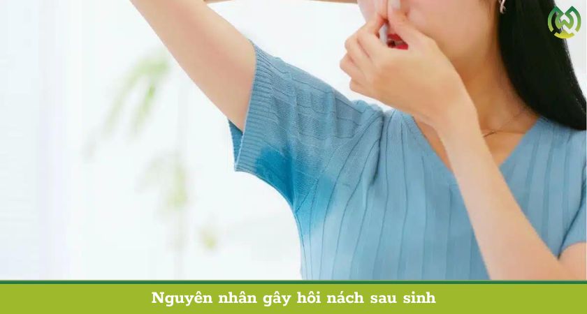 Nguyên nhân gây hôi nách sau sinh