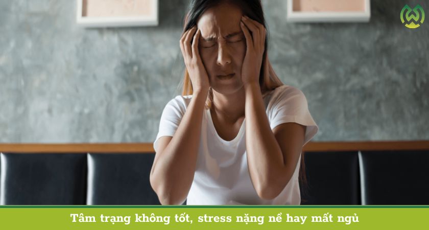 Tâm trạng không tốt, stress nặng nề hay mất ngủ