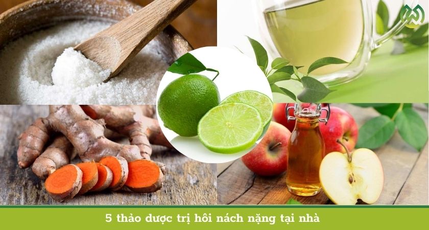 5 thảo dược trị hôi nách nặng tại nhà 